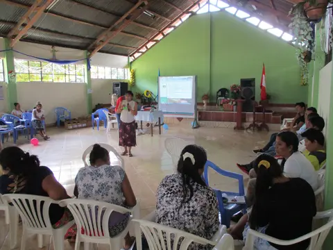 Capacitación  / Yachachicuy